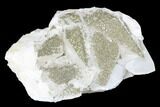 Sparkling Pyrite Crystals on Calcite - China #182494-1